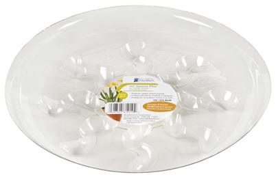 Saucer Plus, 6-In.