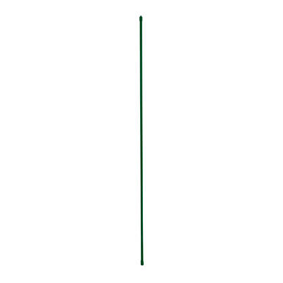 Plant Stake Plastic-Coated Steel 6'
