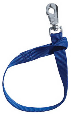 Livestock Bucket Strap, Blue Nylon, 1 x 22-In.