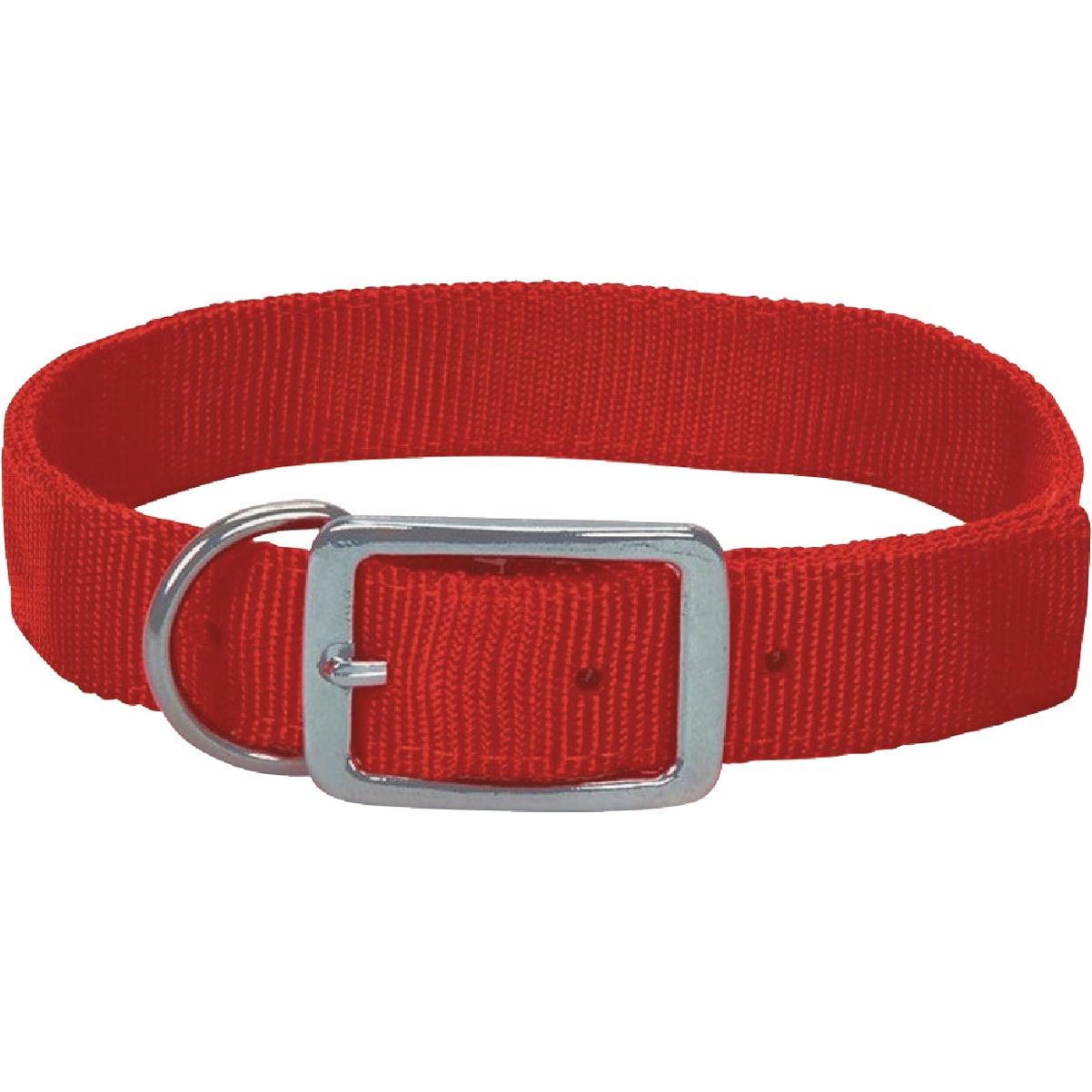 Boss Pet Guardian Gear 1 In. x 16 to 19 In. Nylon Hunting Dog Collar