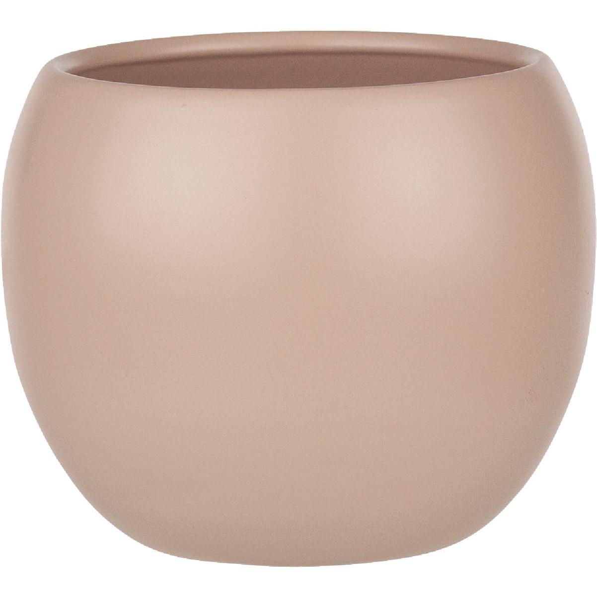 Syndicate Home and Garden 6.02 In. x 4.75 In. Rose Blossom Ceramic Phoenix Planter