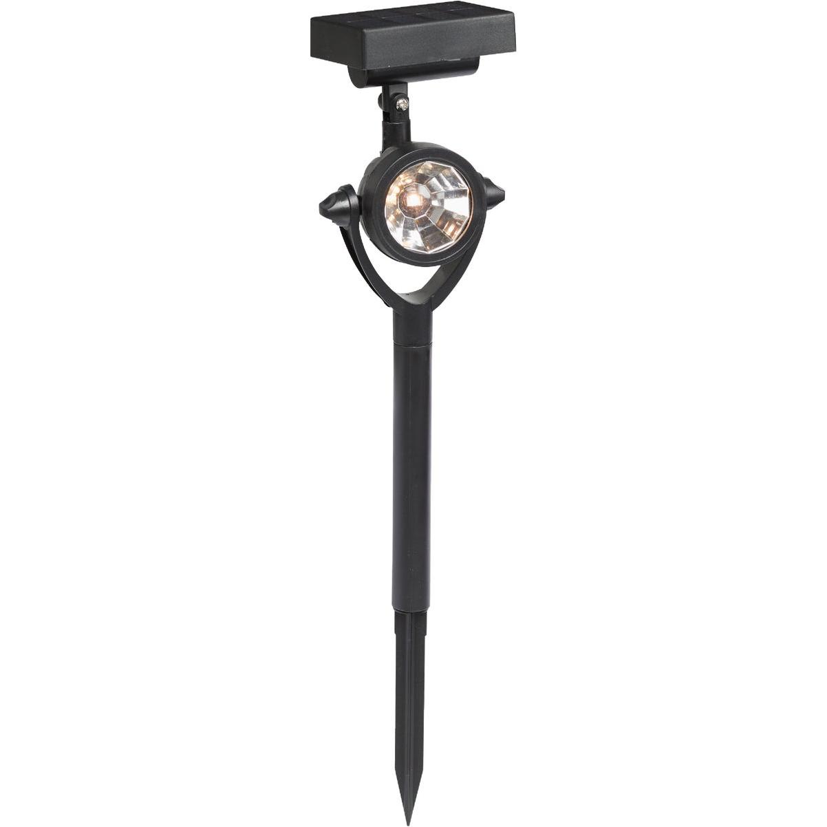 Black 10 Lm. Solar Stake Light with Adjustable Solar Panel