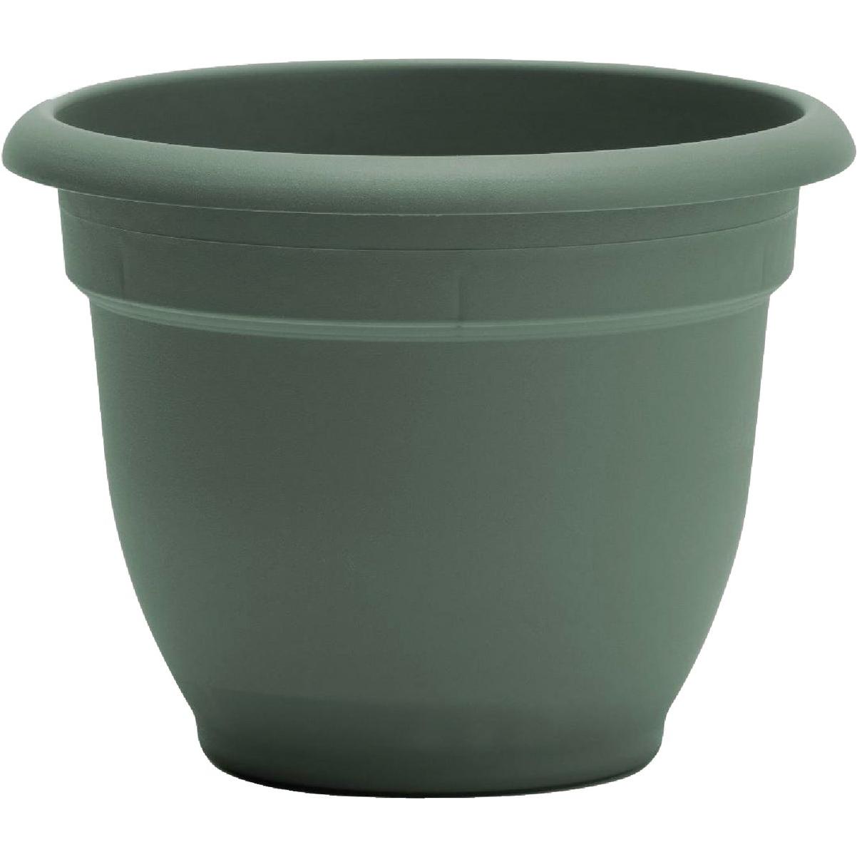 Bloem Ariana 8 In. Basil Planter