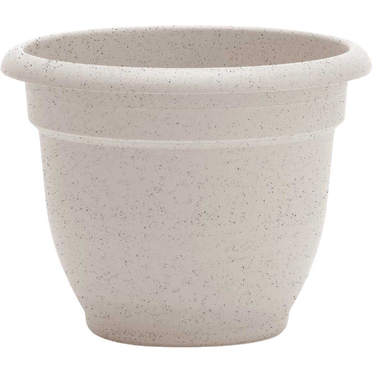Bloem Ariana 8 In. Vanilla Bean Planter