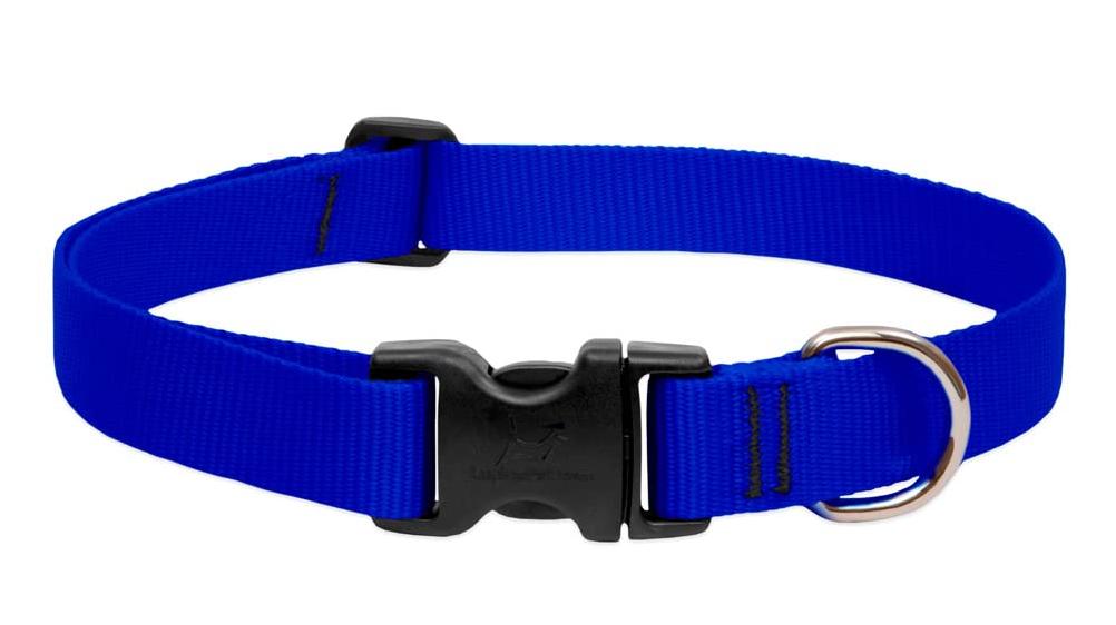 Lupine 1 In. Traditional Solid Blue 12 to 20 In. Adjustable Collar