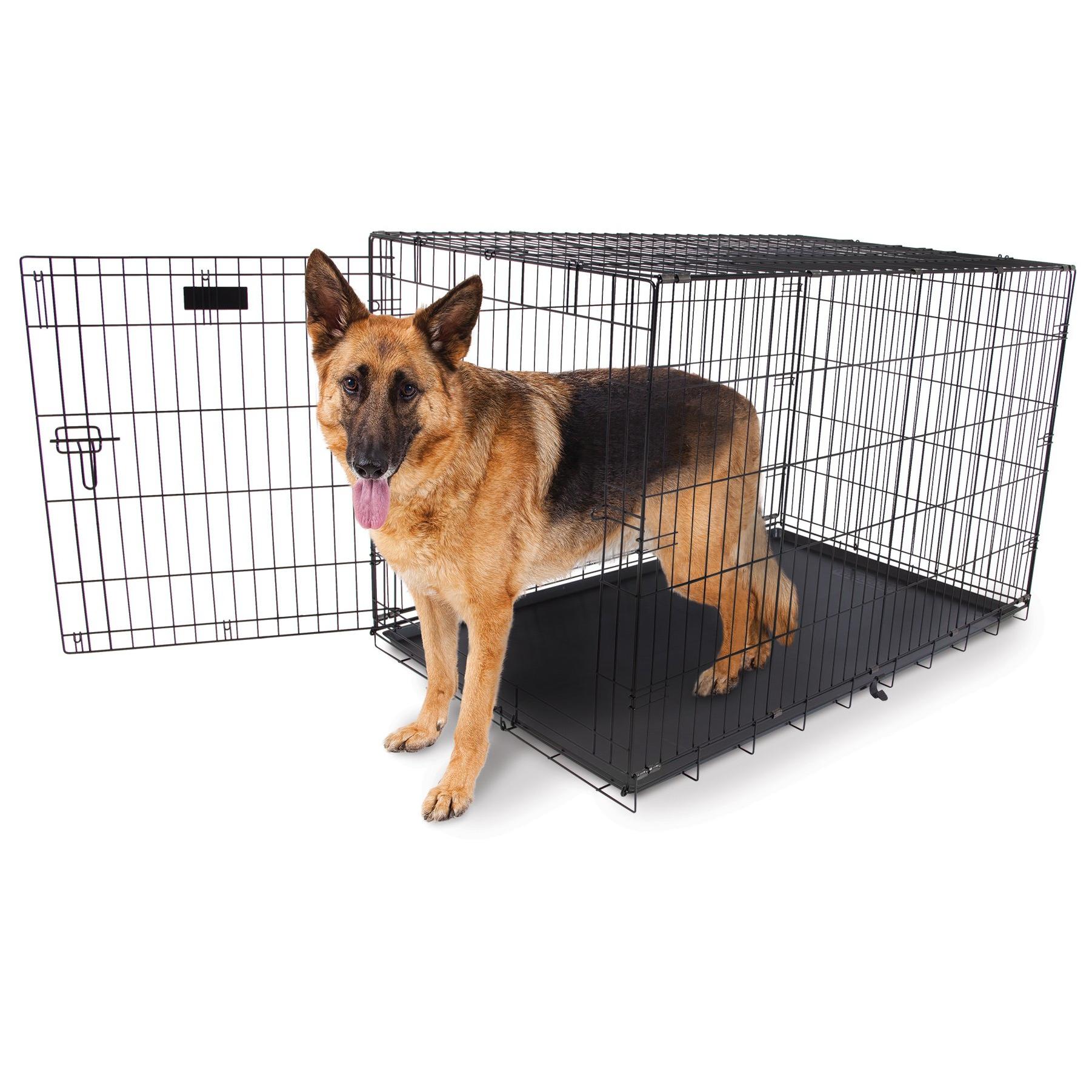 KennelMaster 30 In. W. x 33 In. H. x 48 In. L. Folding Kennel Crate