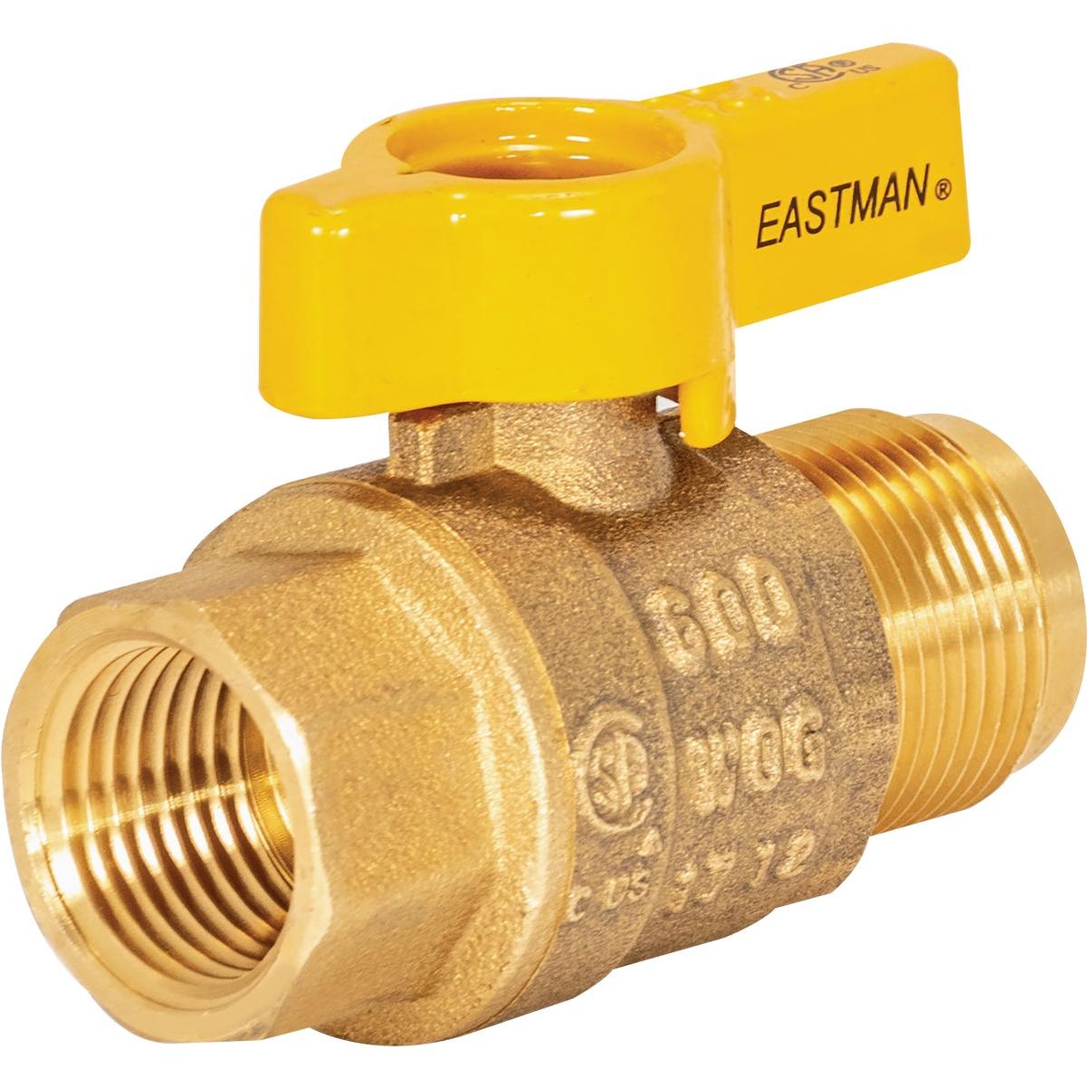 Eastman 5/8 In. OD Male Flare x 1/2 In. FIP Gas Valve
