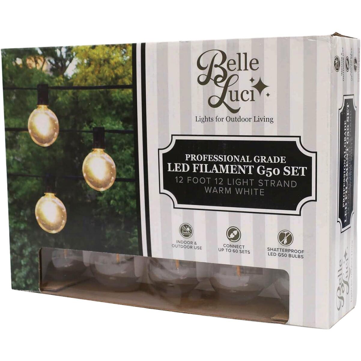 Holiday Bright Lights Belle Luci 12-Bulb G50 Warm White Transparent LED Light Set