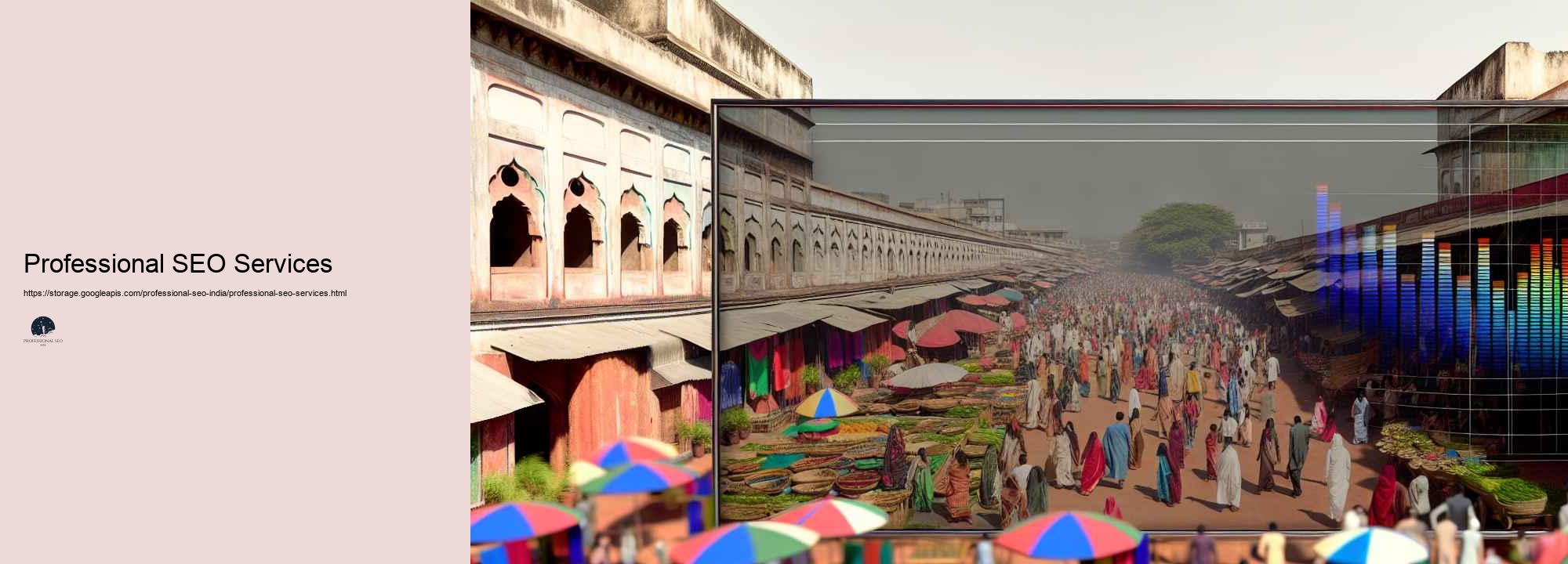 Future Trends in Professional SEO for the Indian Market