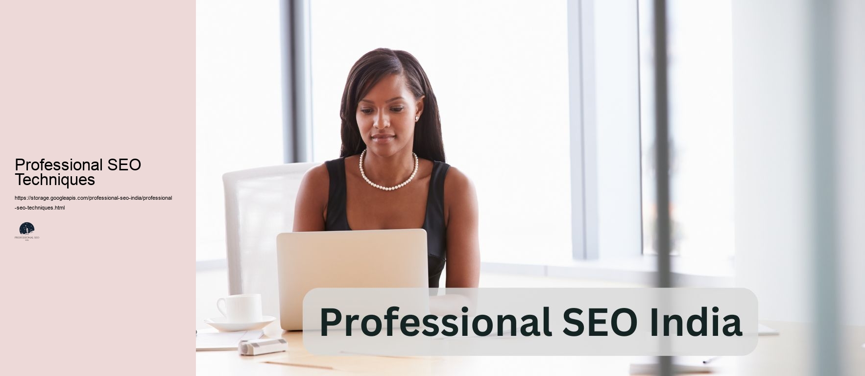 Professional SEO Techniques