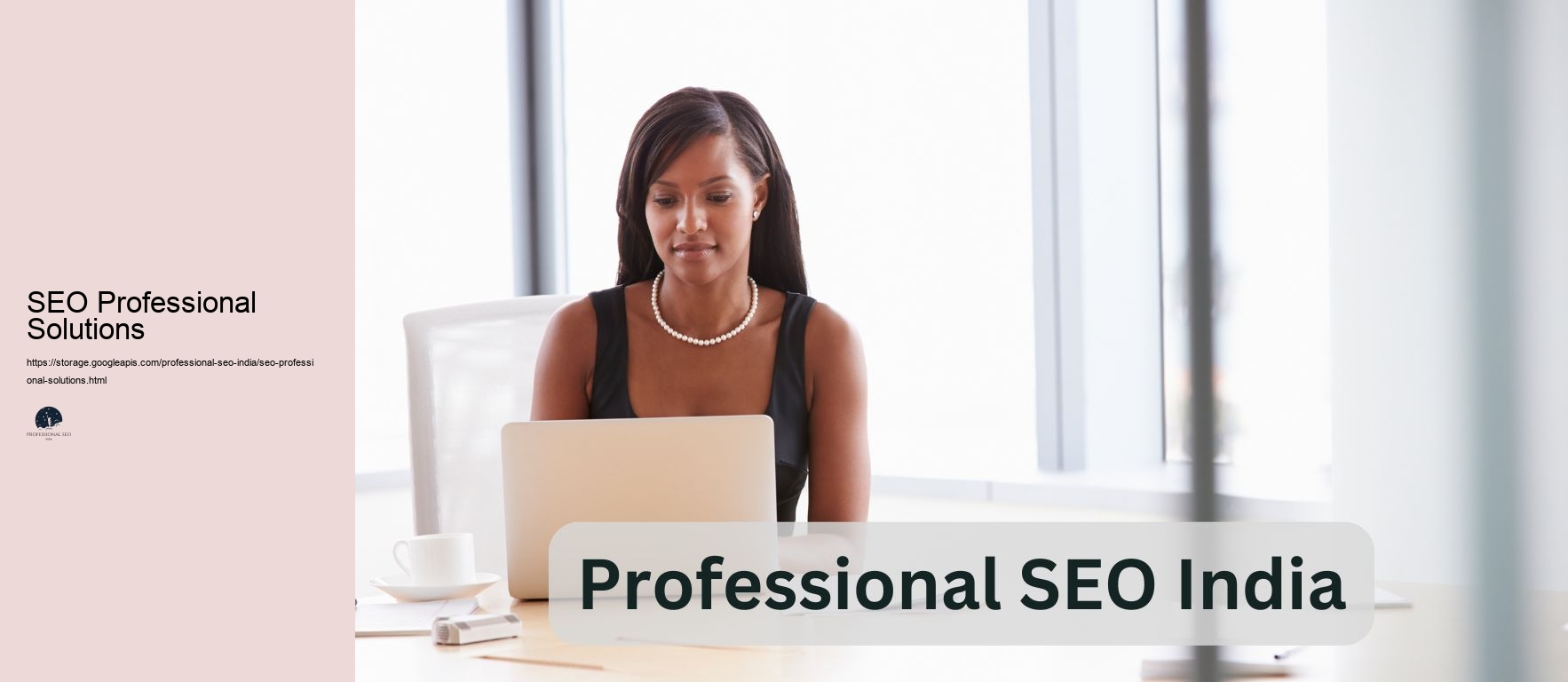 SEO Professional Solutions