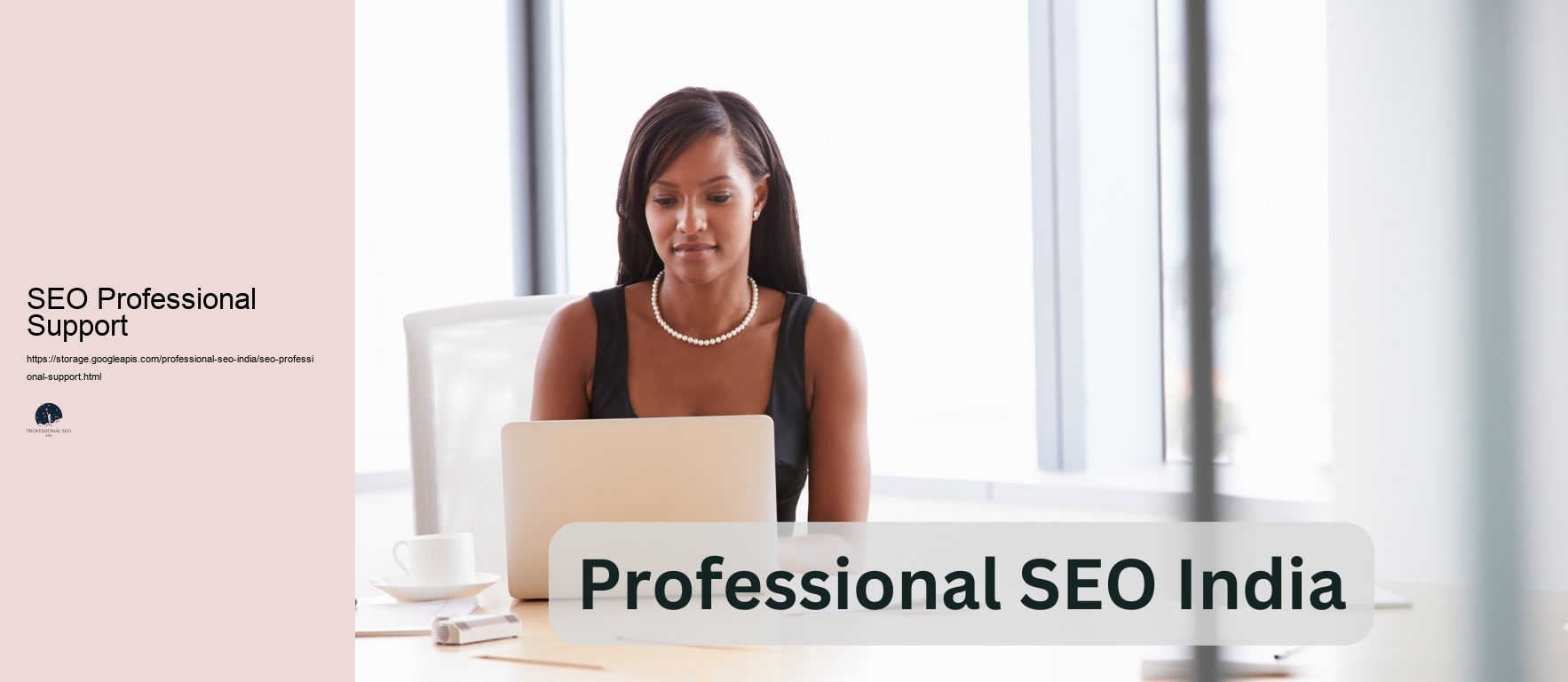 SEO Professional Support