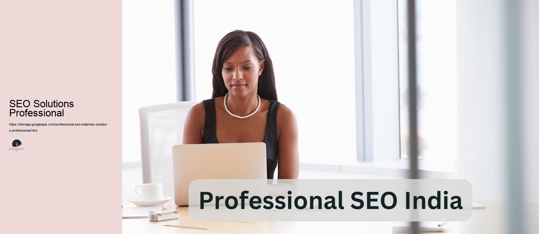 SEO Solutions Professional