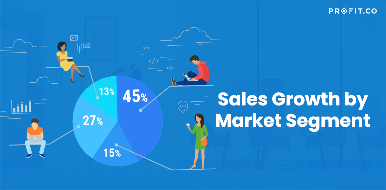 Sales-Growth-by-Market-Segment