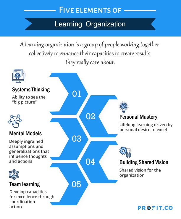 5-elements-of-learning-organization