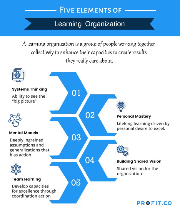 5 elements of learning organization