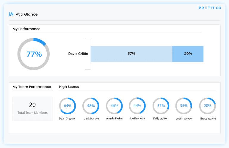 Profit-performance-dashboard