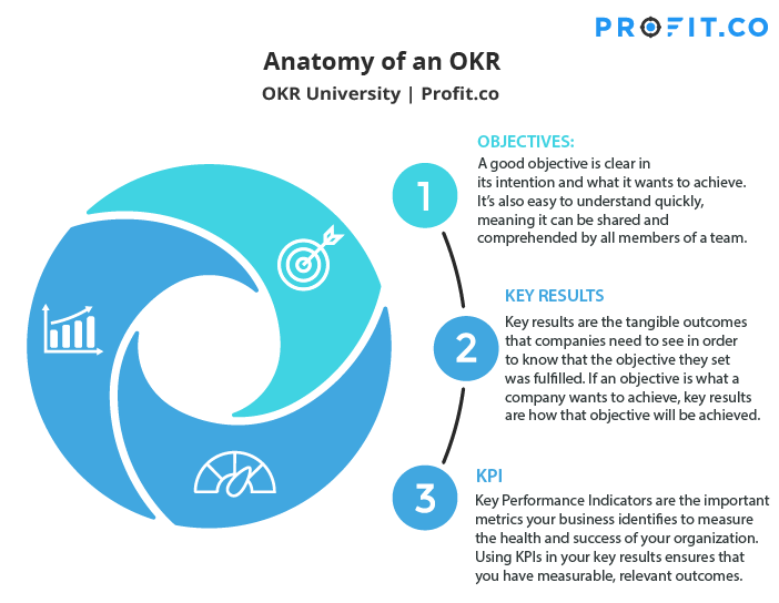 anatomy-OKR