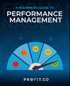 a-beginners-guide-to-performance-management