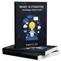 What-is-iterative-business-execution