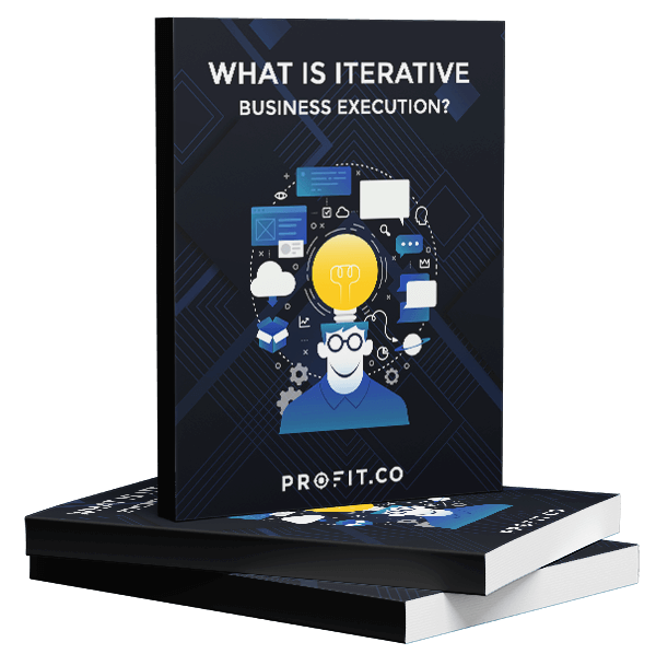What-is-iterative-business-execution