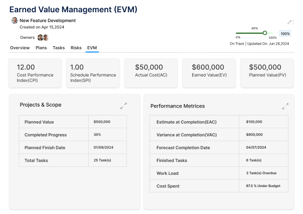 Earned Value Management (EVM)