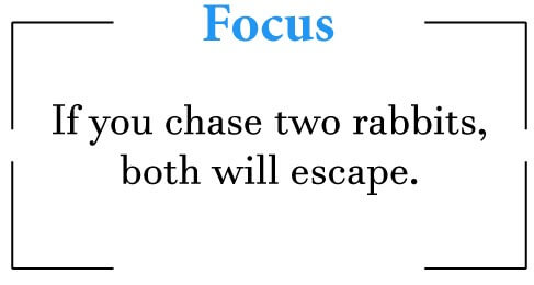 If you chase two rabbits, both will escape. 