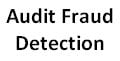 Audit Fraud Detection