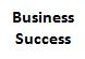 Business Success Factors