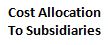 cost allocation to subsidiaries