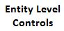 entity level controls