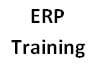 erp training