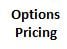 option pricing method equity allocation