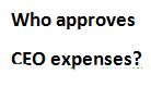 Who approves CEO expenses?