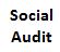 Social Audit