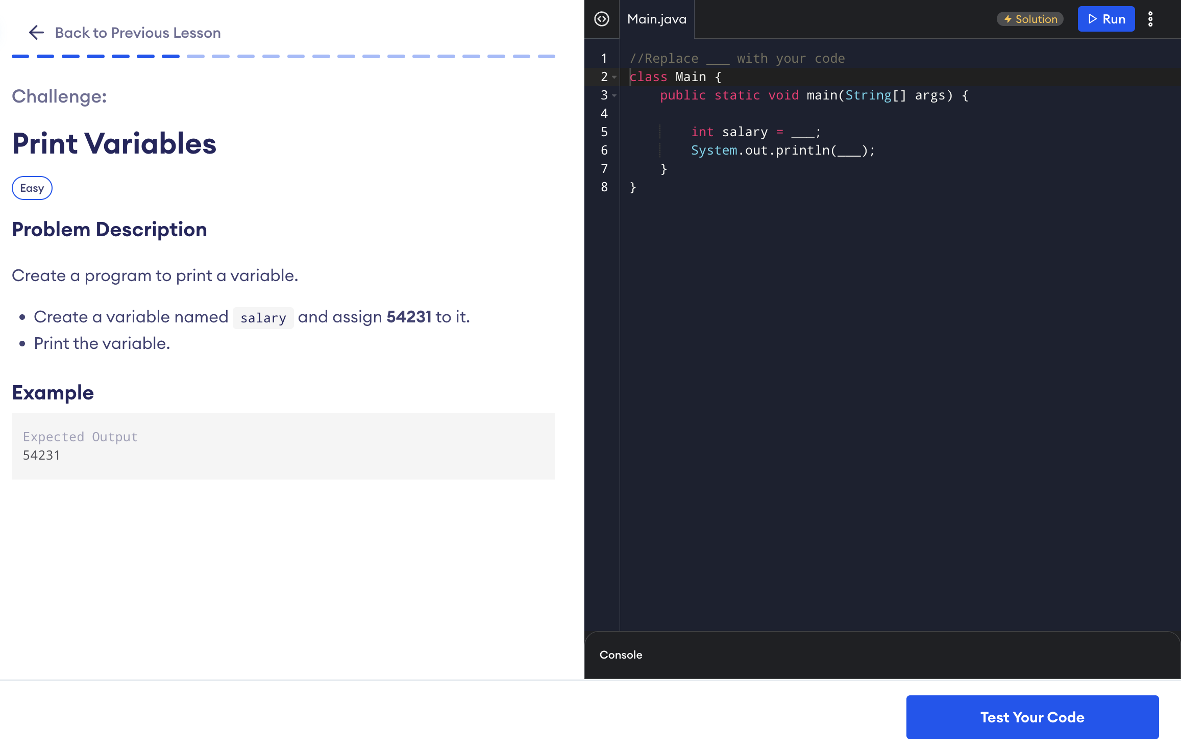 Print Variables Challenge in Learn Java Basics course