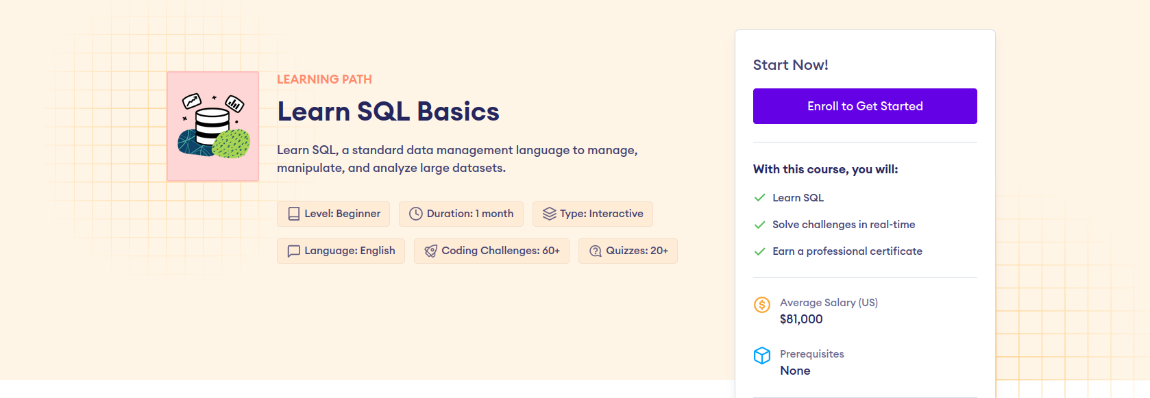 Roadmap to Become a Software Engineer