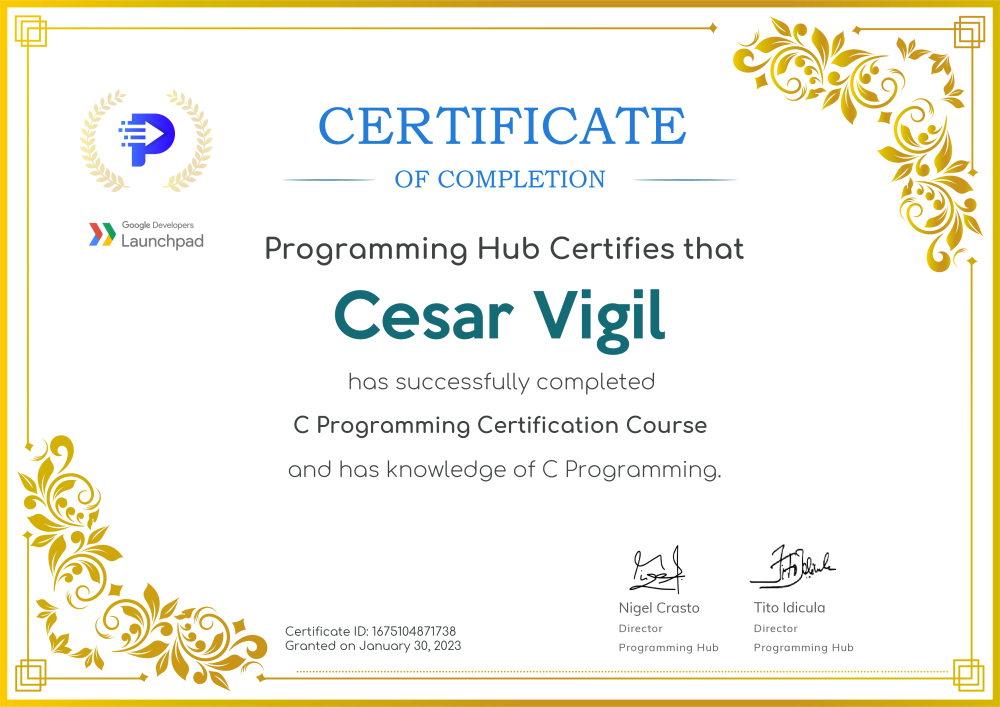 Jaheed Cesar Hub Cesar Vigil - Cesar Vigil | LinkedIn