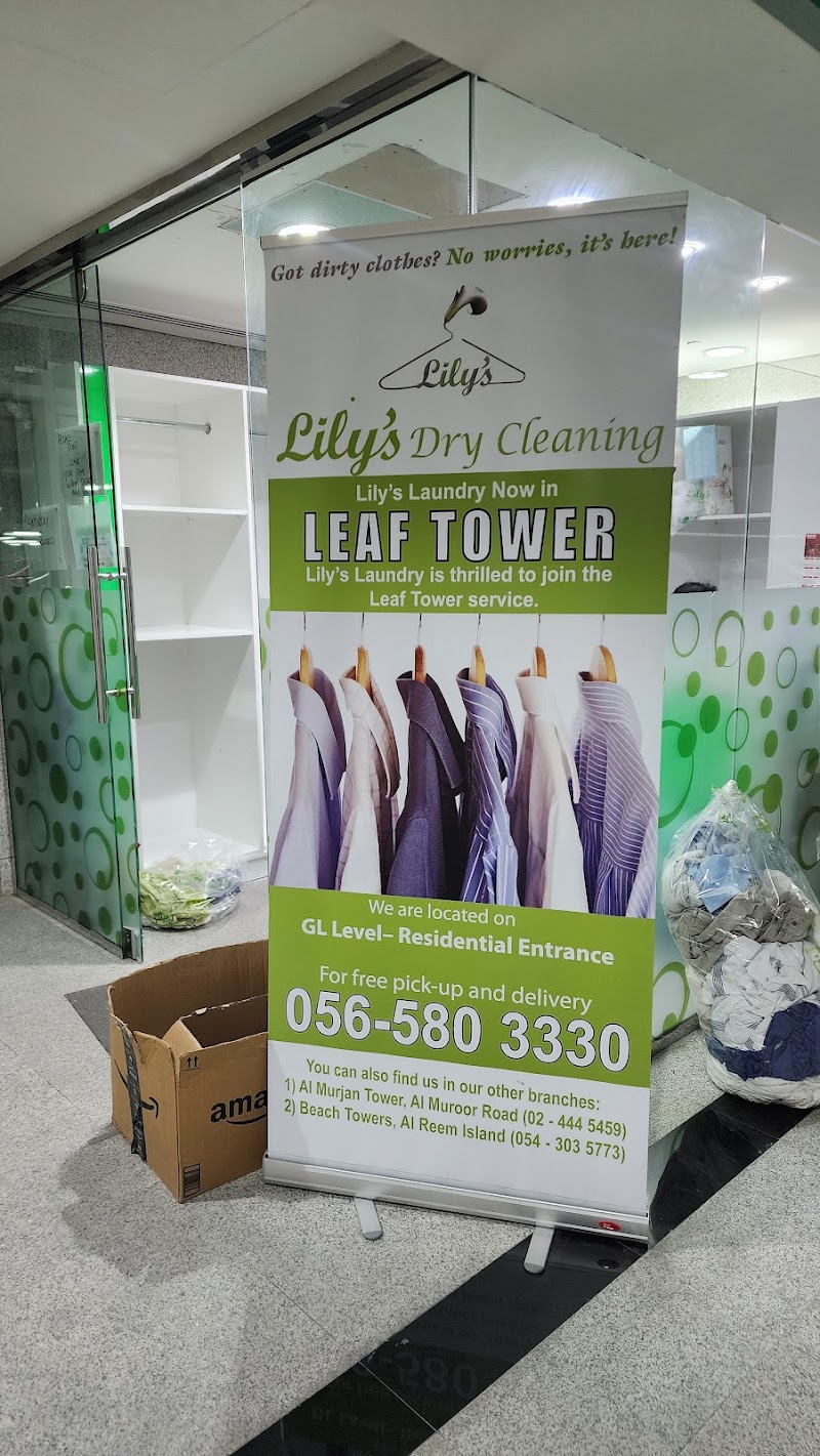 Lily's Dry Cleaning - Thumbnail 4