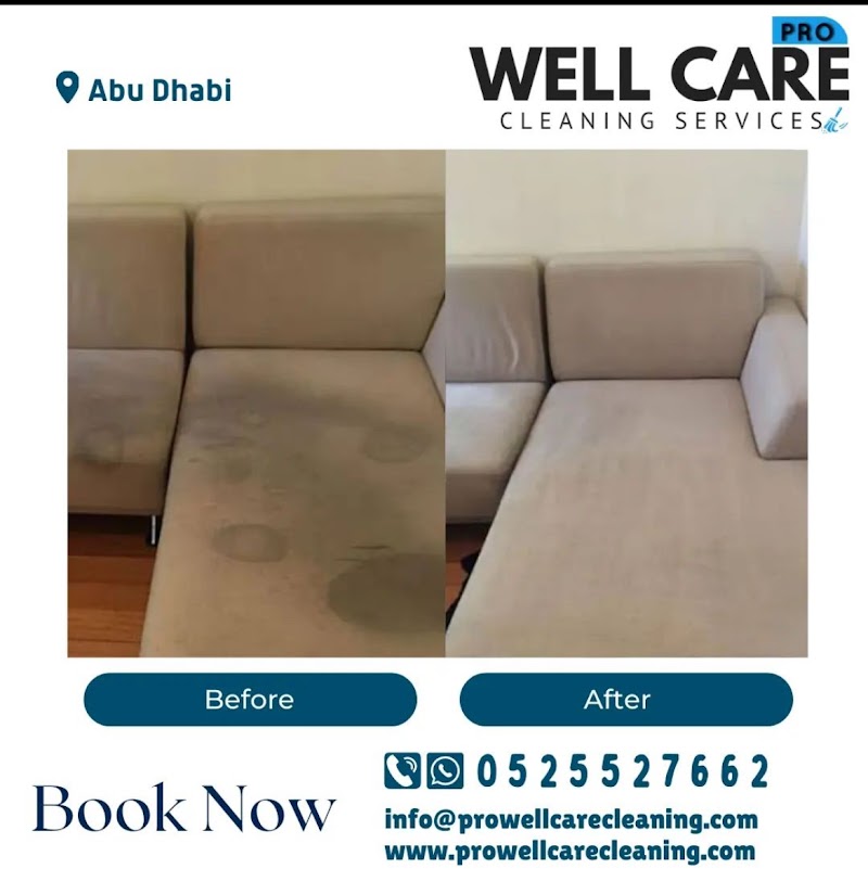 Pro Well Care Cleaning Services - Thumbnail 4