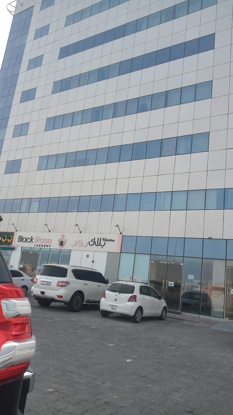 Black Rose Laundry - Thumbnail 5