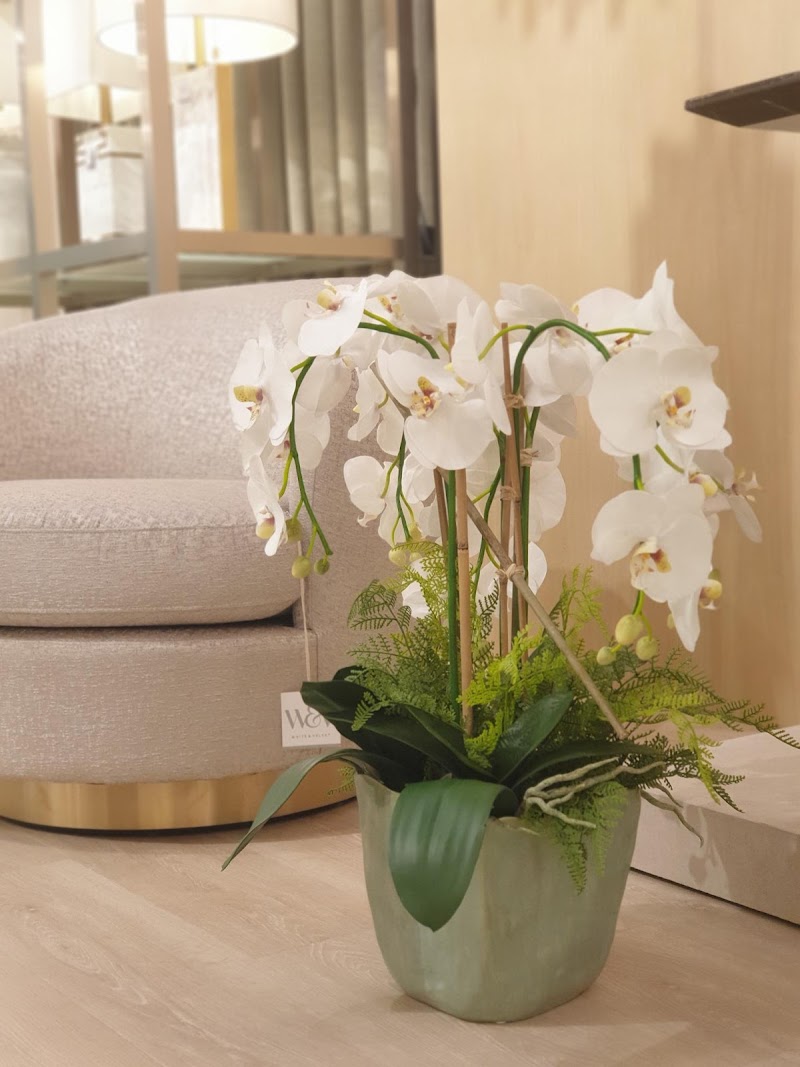 White & Velvet - Al Forsan - Thumbnail 3