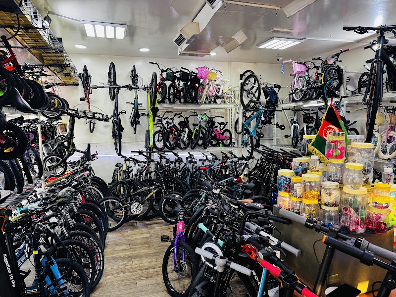 Shaheen Bicycle - Branch - Thumbnail 5