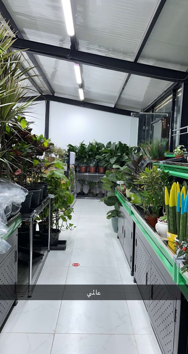 Cosa Garden Center Plants Trading - Thumbnail 3