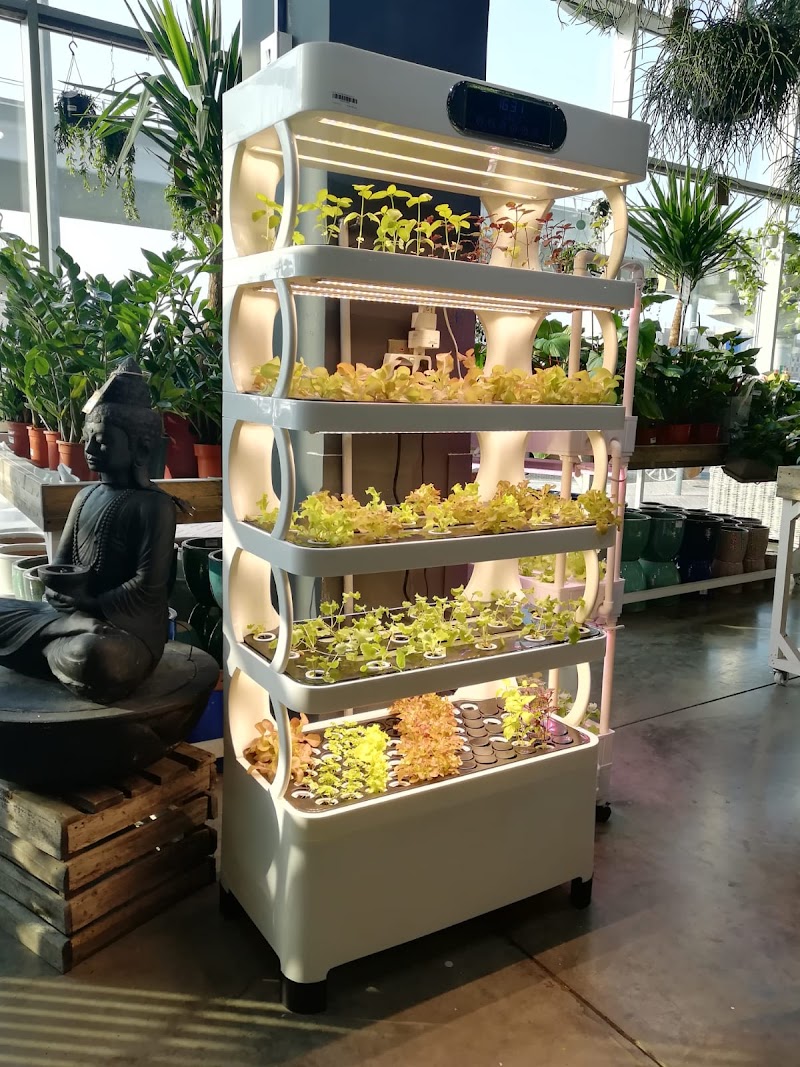 The Garden Concept - Thumbnail 3