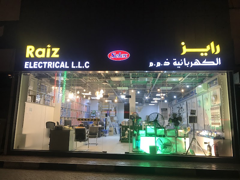 RAIZ ELECTRICAL LLC - Thumbnail 5