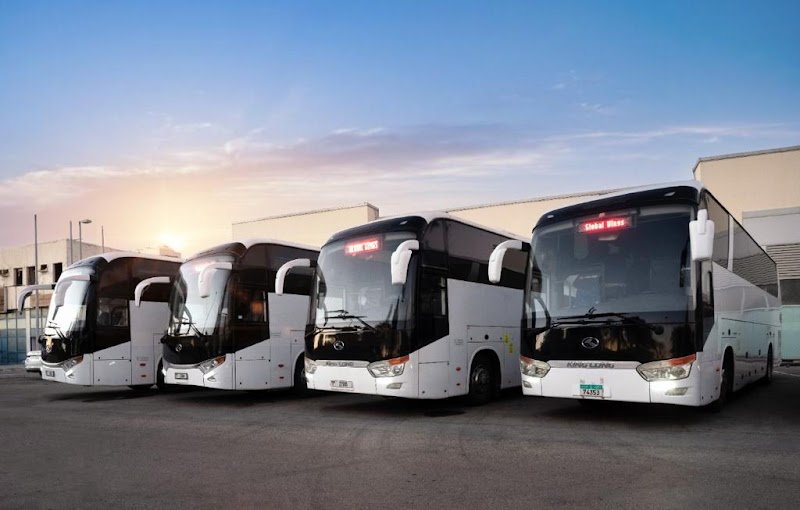 Global Wings - Thumbnail 2