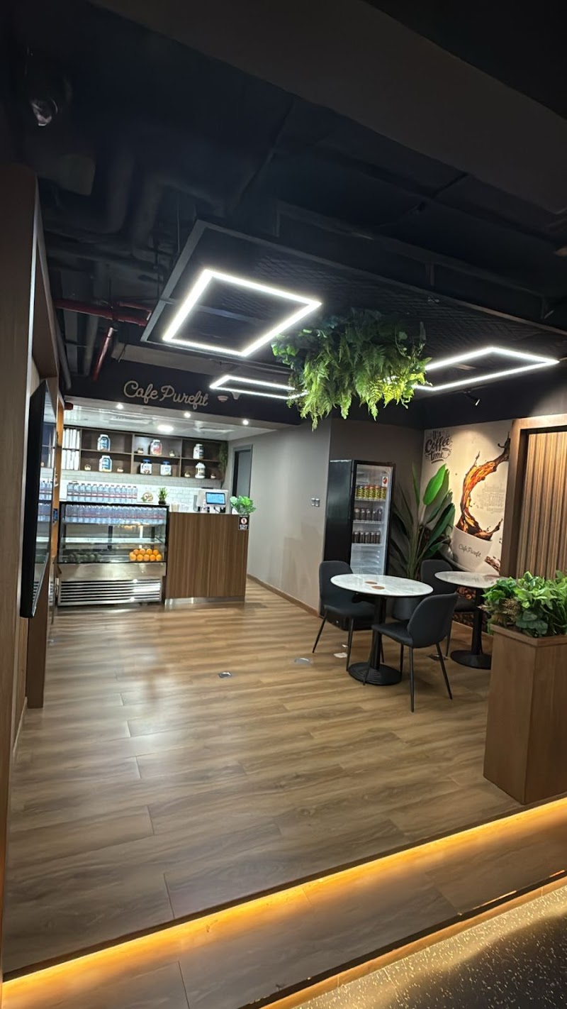 Pure Fitcare Bodybuilding Club - Thumbnail 4