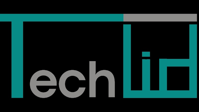 TechLid IT Solutions - Thumbnail 4