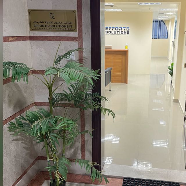 Efforts Solutions IT - Image 1
